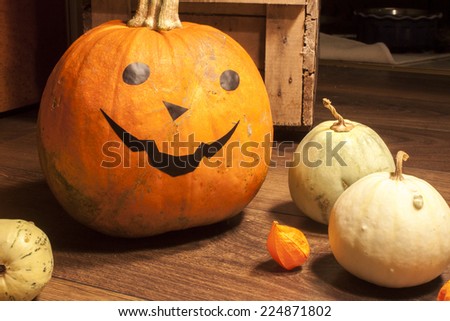 Halloween pumpkin, and other little decorative pumpkins, on wooden background