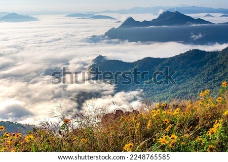 Landscape Mountain forest scenery in misty park in high season,Phu Chi Fa National Park, Chiang Rai Province Royalty-Free Stock Photo #2248765585