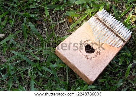 Hand playing kalimba or mbira is an African musical instrument.made from wooden board with metal Instrument in garden Royalty-Free Stock Photo #2248786003