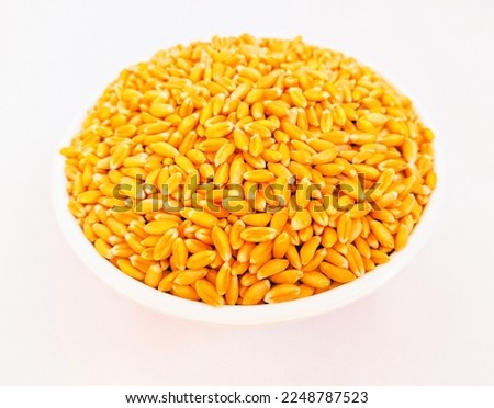 Wheat seeds cereal grain dried staple food common whole-wheat seed grains in a bowl closeup image photo.