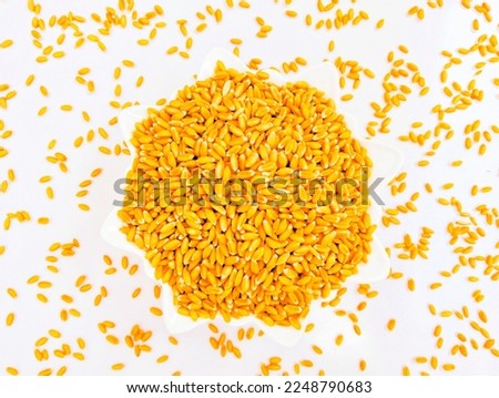 Common wheat seeds cereal grain dried staple food edible whole-wheat seed heap pile closeup image picture stock photo.