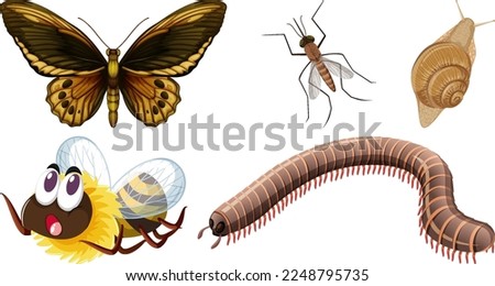 Set of different kinds of insects illustration