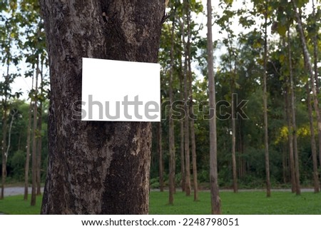 white notice board, public relations sign, campaign sign stuck on a tree in the forest park. Soft and selective focus.                               