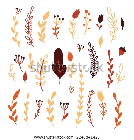 Autumn floral elements, flowers, leaves in doodle style. Cute elements for harvest decorative design, invitation, thanksgiving greeting cards.
