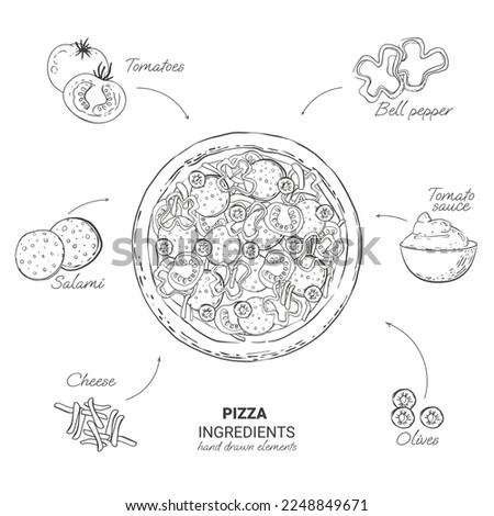hand drawn pizza ingredients in vector and illustration