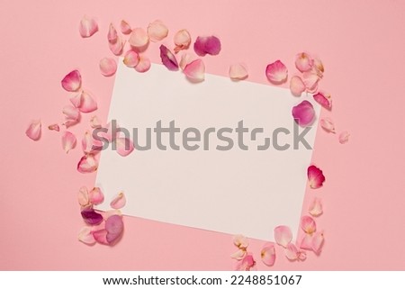 Rose petals flat layout. Pink petals on a calm pink background. A romantic composition with space for text. The concept of love, wedding, Valentine's Day holiday. A postcard in warm colors. Copy space