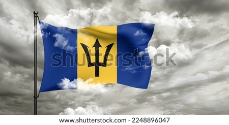 Barbados national flag cloth fabric waving on beautiful grey sky.