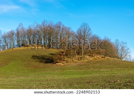 Landscape with trees against the blue sky. Light and shadow. Rudawy Janowickie, Poland.