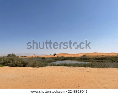 Nature lake inside the desert of UAE region 