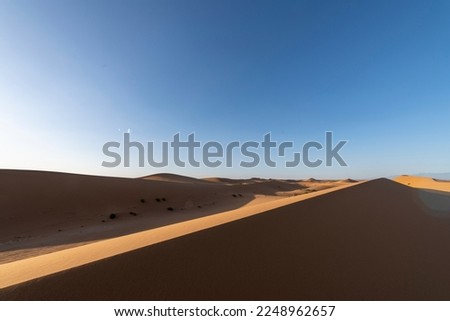 Desert landscapes are characterized by their arid, barren terrain and sparse vegetation. From the extreme desert, you can find the beautiful landscape in our picture.