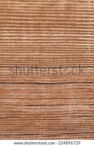 Texture of wood background close - up