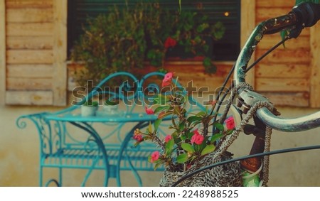 Rustic Vintage Bike with Flowers on Blur Background. Toned Photo