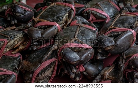 crabs that are traded in the people's market