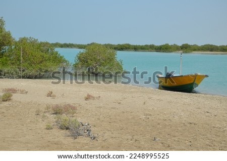 boat at the shore of mangrove forest at Qeshm Island, Iran