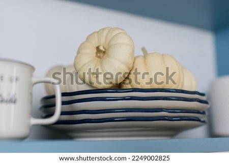 a decorative pumpkins on a plate in the kitchen