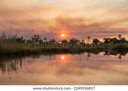 Okavango Delta savannah mirrored in water - beautiful African sunset