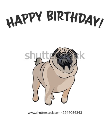 Happy birthday card with a dog, holiday design. Present for a dog lover. Funny cartoon dog breed illustration.  Minimalistic greeting card. Fun Pug dog funny character postcard.