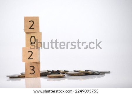 2023 wording on a wooden cube with coin of money over a white background. Business concept 