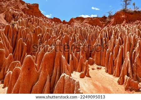 Red Tsingy – Tsingy Rouge - near Diego Suarez, Madagascar Royalty-Free Stock Photo #2249095013
