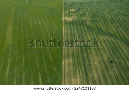 View of the green fields from a drone. Lovely background, wallpaper, screensaver.