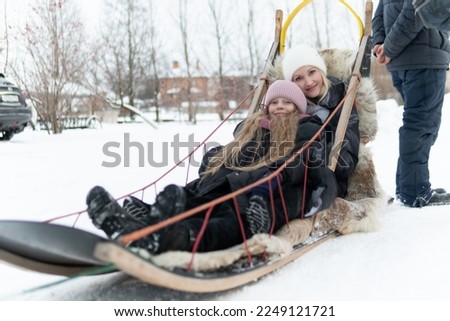 cold alaska competition team sleigh running sledge sled dog teamwork snow husky winter