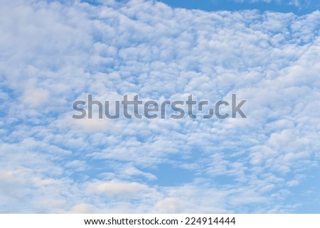 white cloud and blue sky background image. 