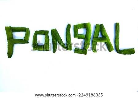 Pongal font design organic vegetable beans isolated on white background. 