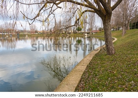 Lake with reflections of trees and sky in a public park in the city of Tres Cantos, Madrid.