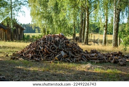 Firewood for the winter stacked on a pile of brushwood from the forest