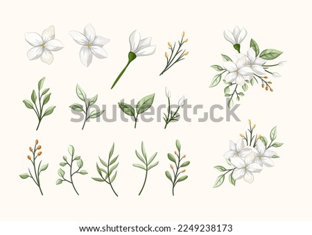 jasmine white beauty flower with leaves set for bouquet for wedding love romance Royalty-Free Stock Photo #2249238173