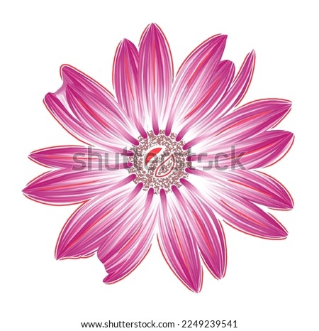 isolated flower bunch flowers and leaves on white background