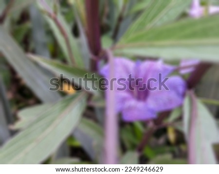 a defocused abstract background of purple ruellia tuberosa