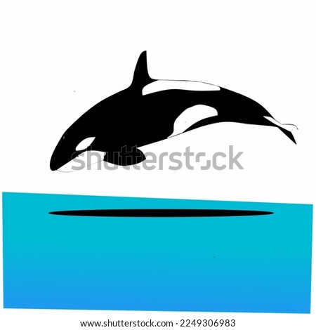 image of a jumping whale on a white background