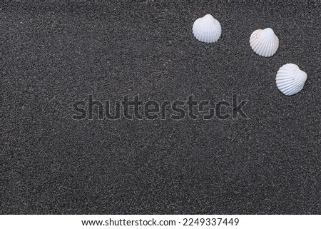Background grains of sea sand, fine black sand of beach and pebble. Location for text.