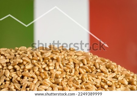 Reduction of wheat grain production in Italy. Food crisis, food default. The decline in wheat exports. Reduction of wheat imports. Wheat stocks in Italy are declining