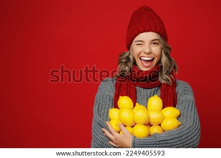 Young happy fun woman wear grey sweater scarf hat hold in hands bunch of lemons wink isolated on plain red background studio portrait. Healthy lifestyle ill sick disease treatment cold season concept Royalty-Free Stock Photo #2249405593