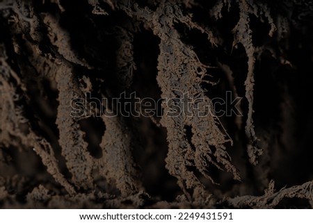 deposits of wood tar in the stove