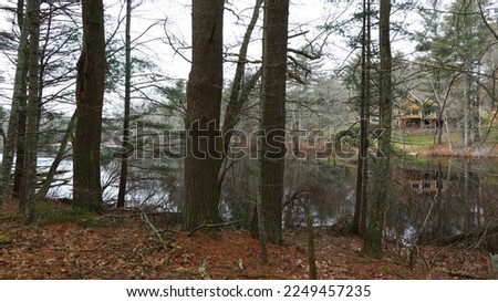 Landscape photo with pine trees at the waters edge.