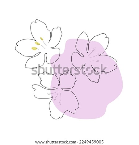 Sakura and cherry blossom .spring drawing .line art flowers and pink color spot .minimalist drawing 