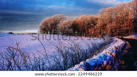 Blue Ridge Mountains in Snow during Sunset.
Spectacular view at Max Patch, North Carolina and Tennessee. Asheville. Great Smoky Mountains. Appalachian trails.