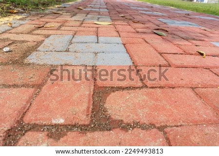 Orange colored paving block bricks path in the park close up