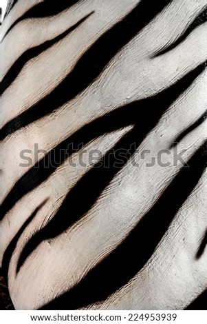 White Tiger cement wall abstract background