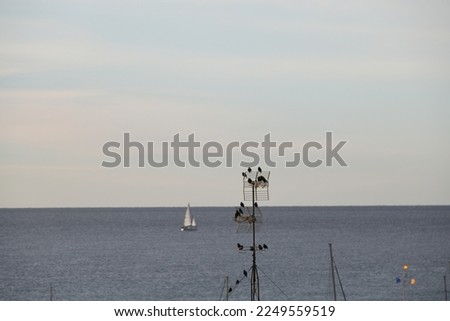 Waves on the Mediterranean Sea and one ship in Tarragona Province, Spain