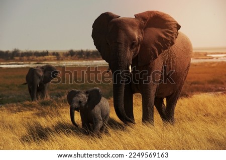 Elephant mother with baby at Okerfontein waterhole, Etosha National Park, Namibia