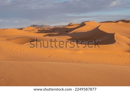 Morocco. High quality photo. Beautiful sand dunes in the Sahara desert.