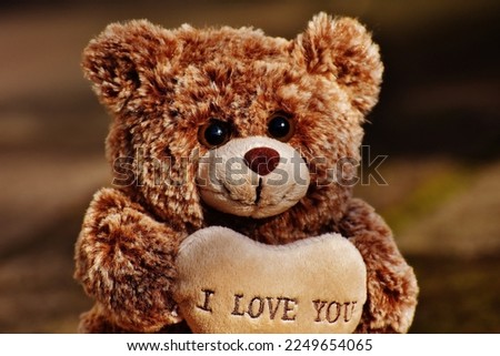 image of a teddy with I love you written for valentine's day.
