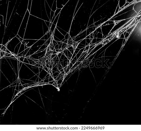 spider web on a dark background Royalty-Free Stock Photo #2249666969