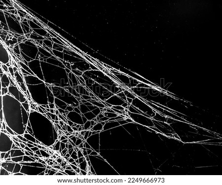 spider web on a dark background Royalty-Free Stock Photo #2249666973