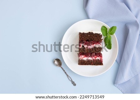 Piece of chocolate sponge cake with berry filling white plate, pastel blue background. Sweet dessert