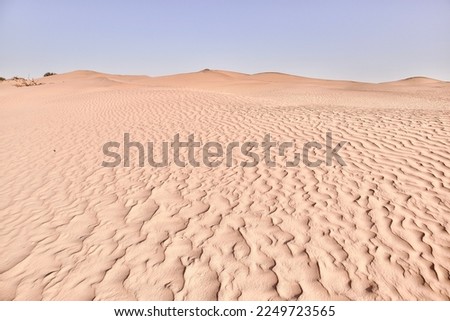 The sand dunes in the desert.